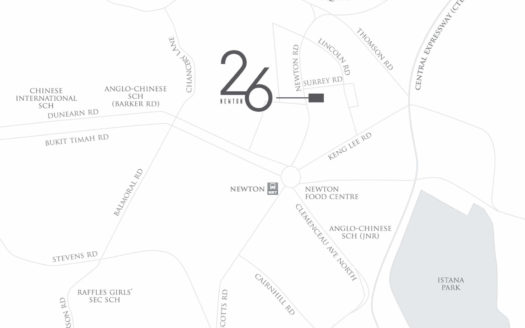 26 Newton